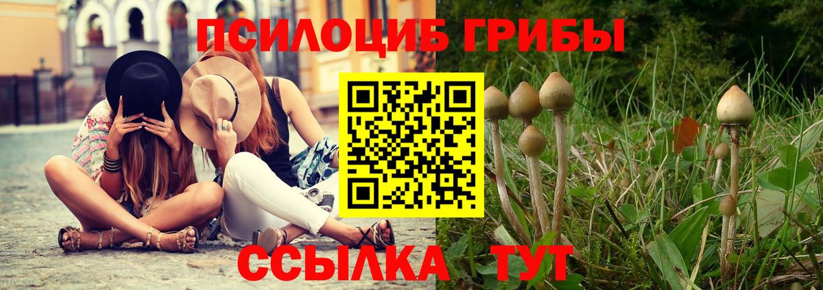 Псилоцибиновые грибы Cubensis Рыбинск
